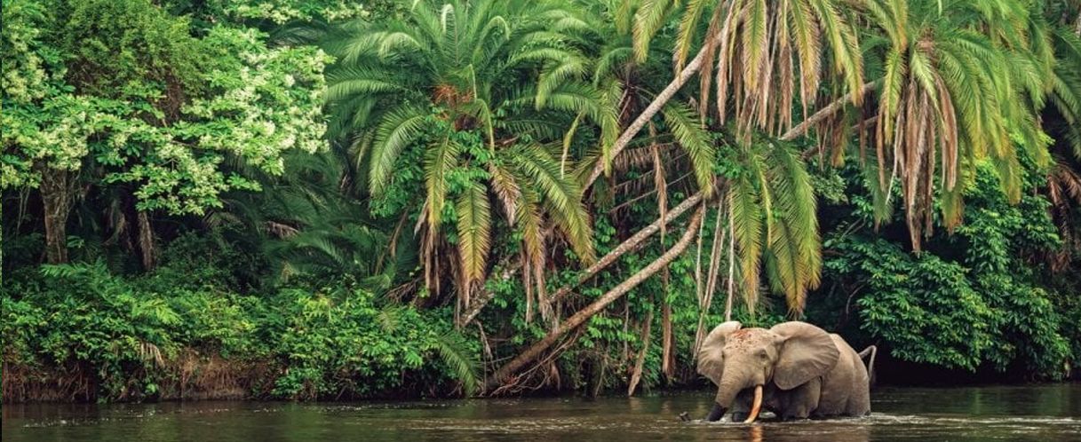 Photo de Brazzaville